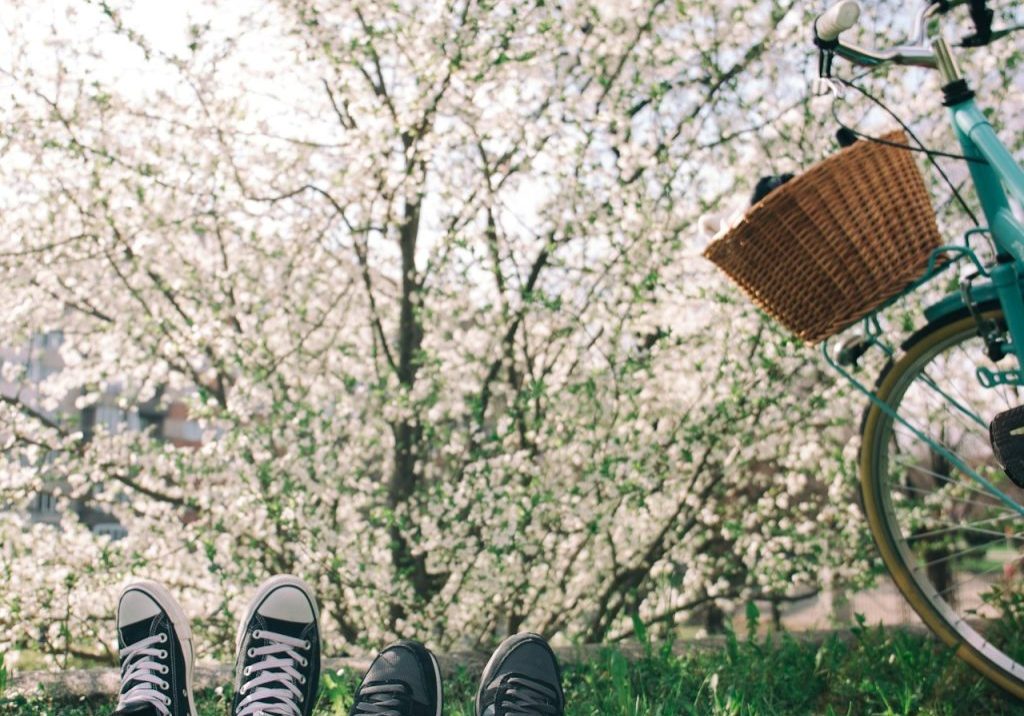 alisa-anton-MzFclBeMwSo-unsplash