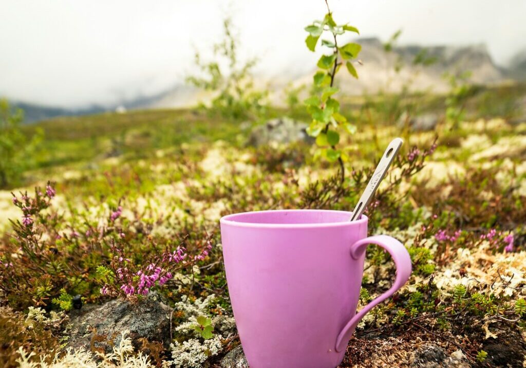 master-unknown-LXTt7WAdwF0-unsplash