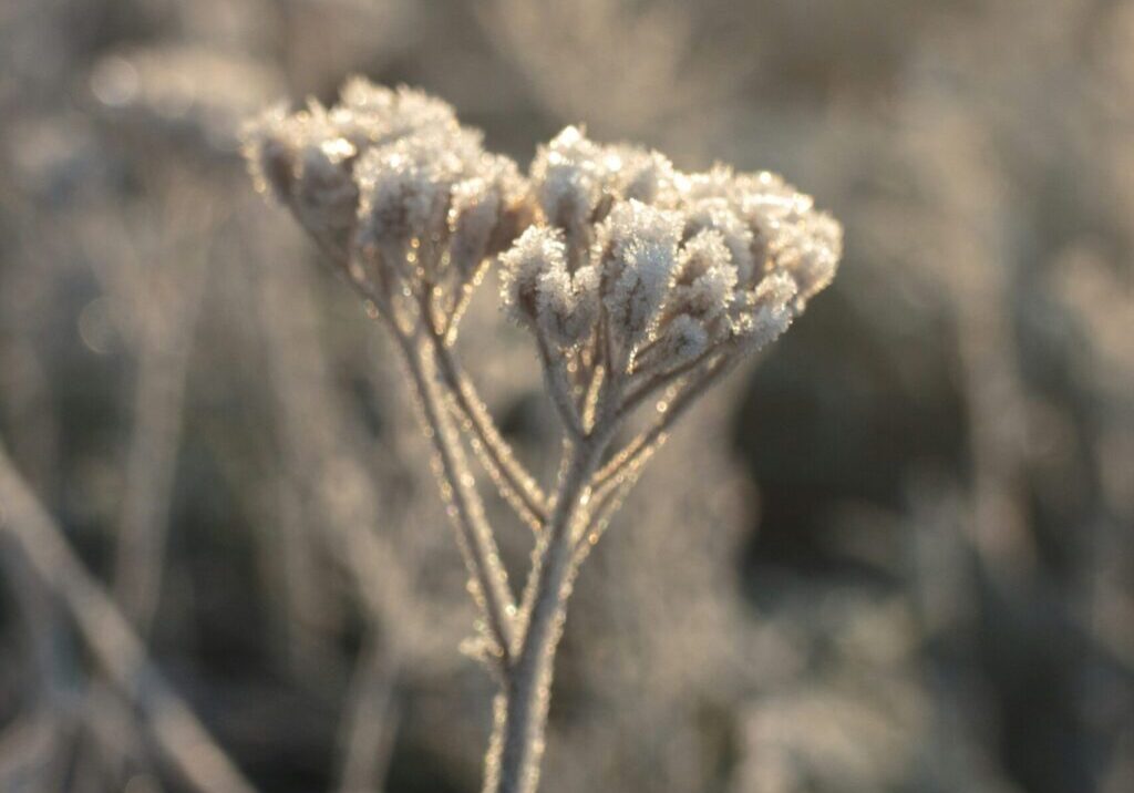 yana-petkova-FftAWjgcfQk-unsplash